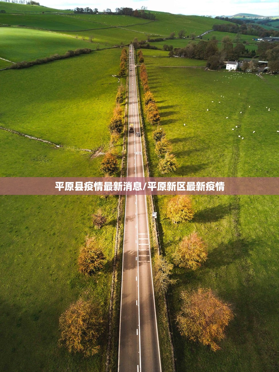 平原县疫情最新消息/平原新区最新疫情 平原县疫情最新消息/平原新区最新疫情