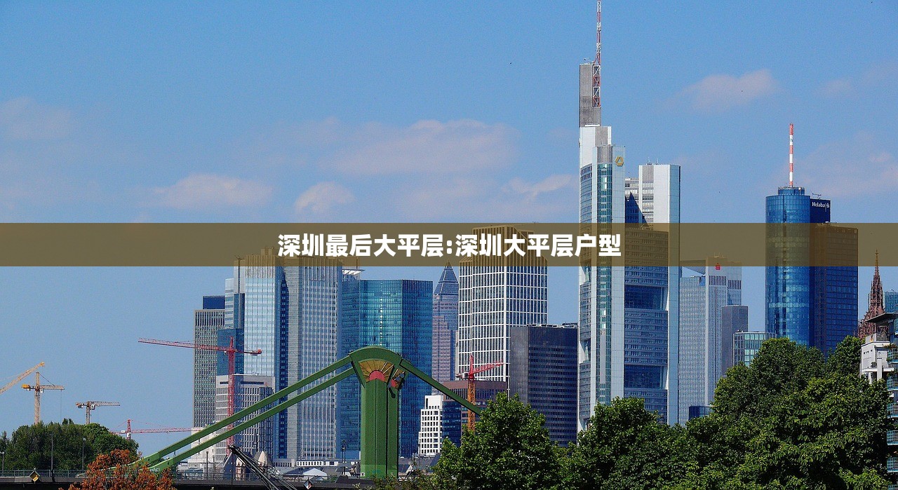 深圳最后大平层:深圳大平层户型