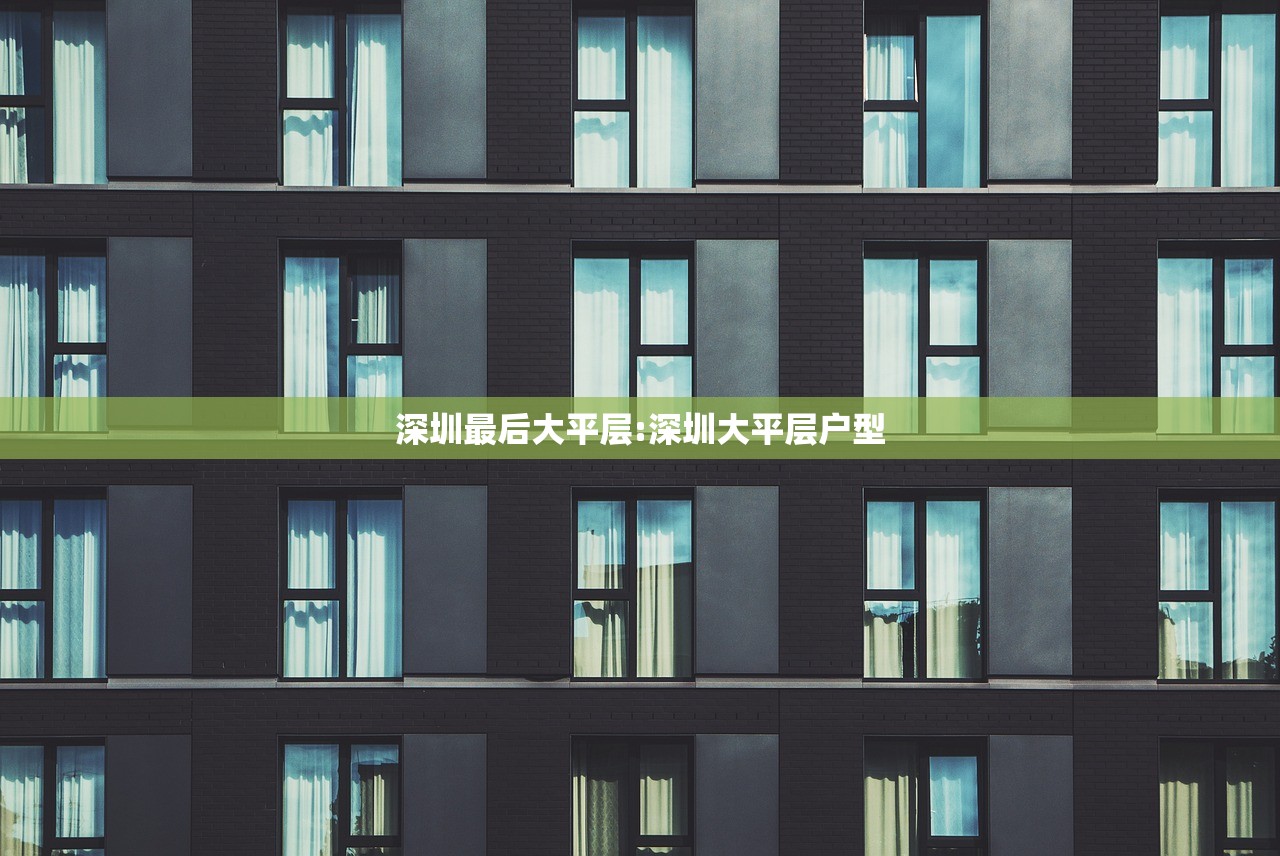 深圳最后大平层:深圳大平层户型