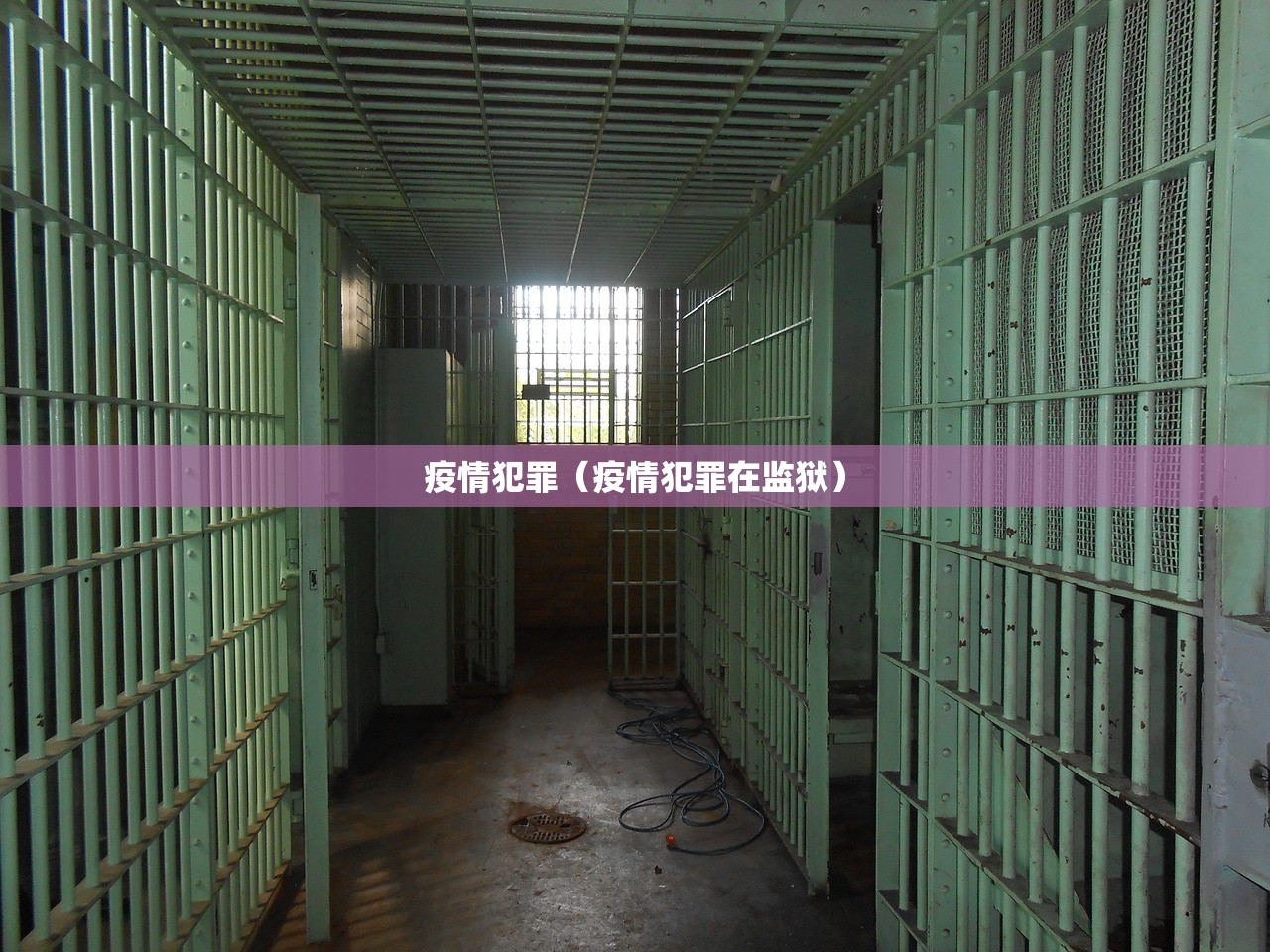 疫情犯罪（疫情犯罪在监狱）