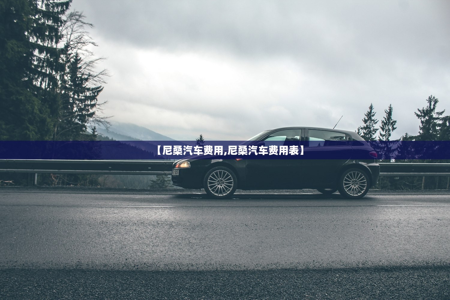 【尼桑汽车费用,尼桑汽车费用表】