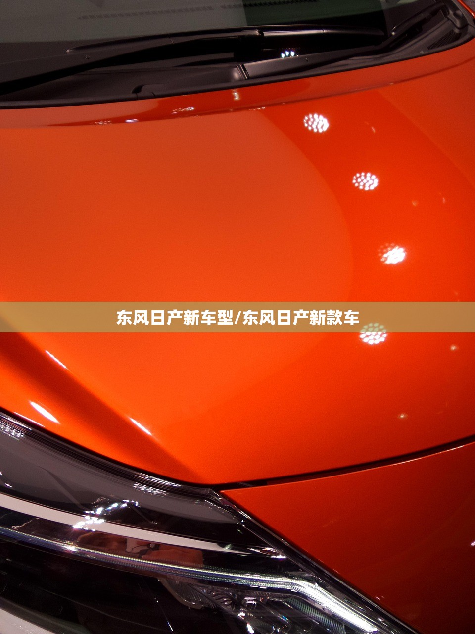东风日产新车型/东风日产新款车