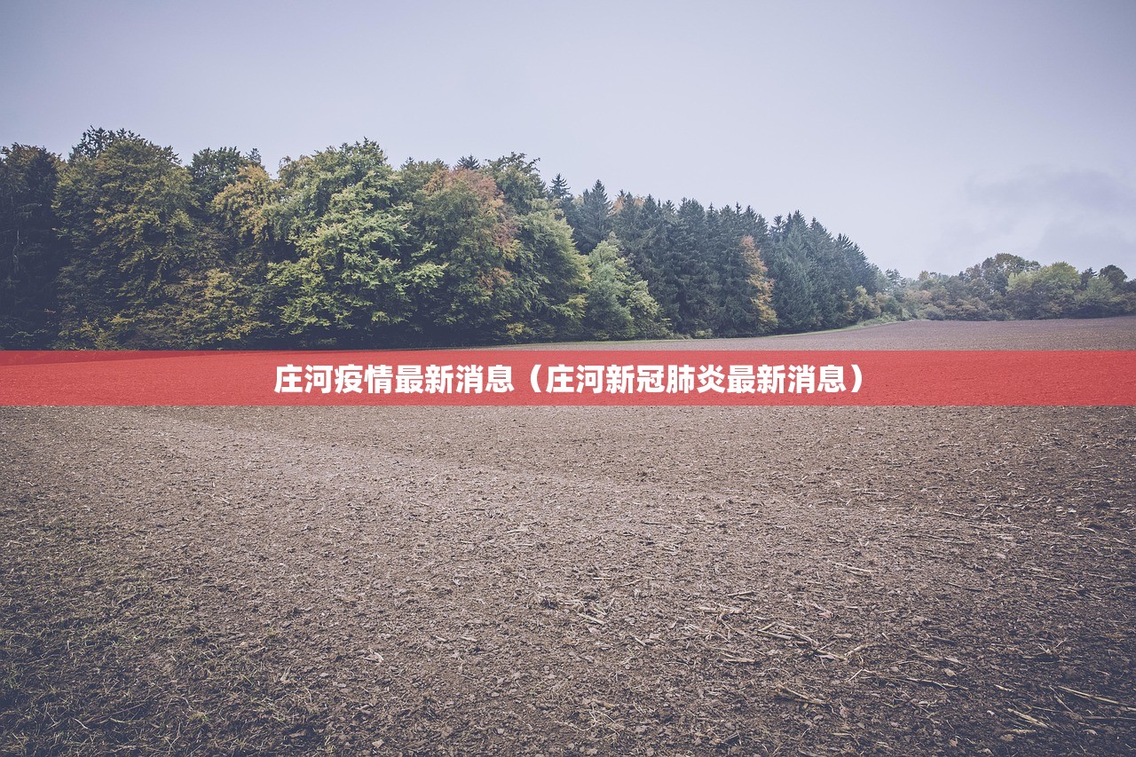 庄河疫情最新消息（庄河新冠肺炎最新消息）