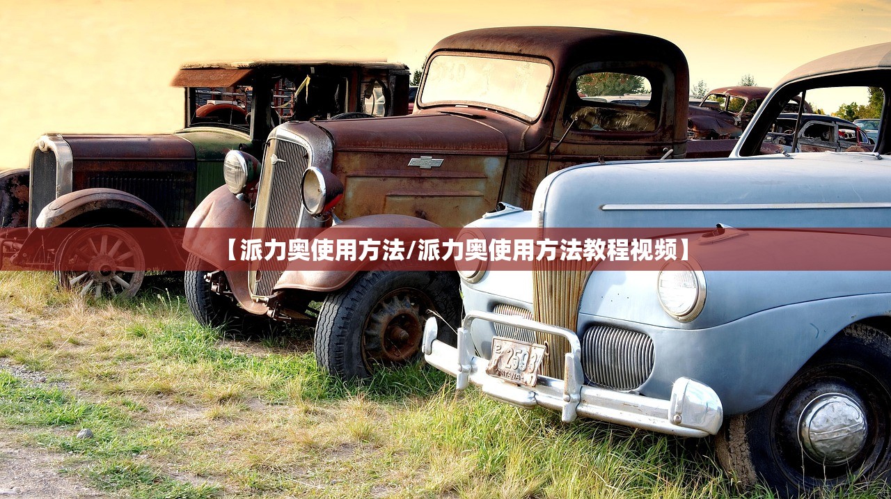 【派力奥使用方法/派力奥使用方法教程视频】