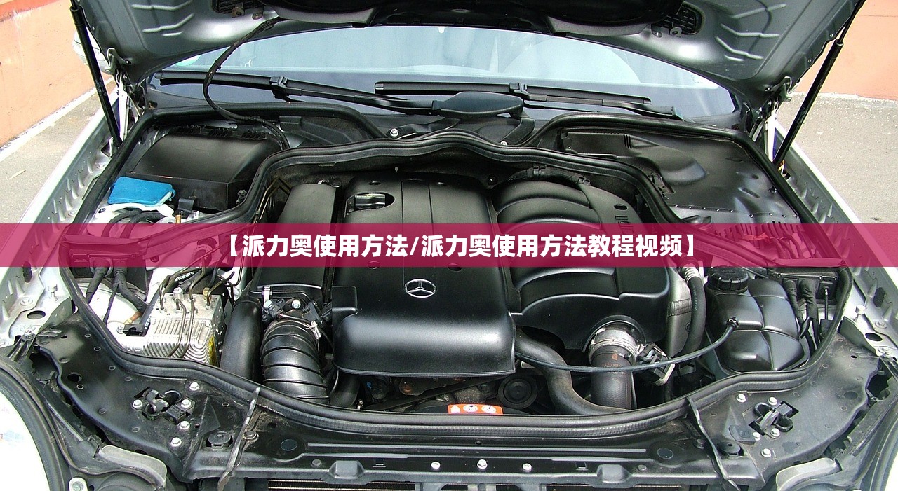 【派力奥使用方法/派力奥使用方法教程视频】