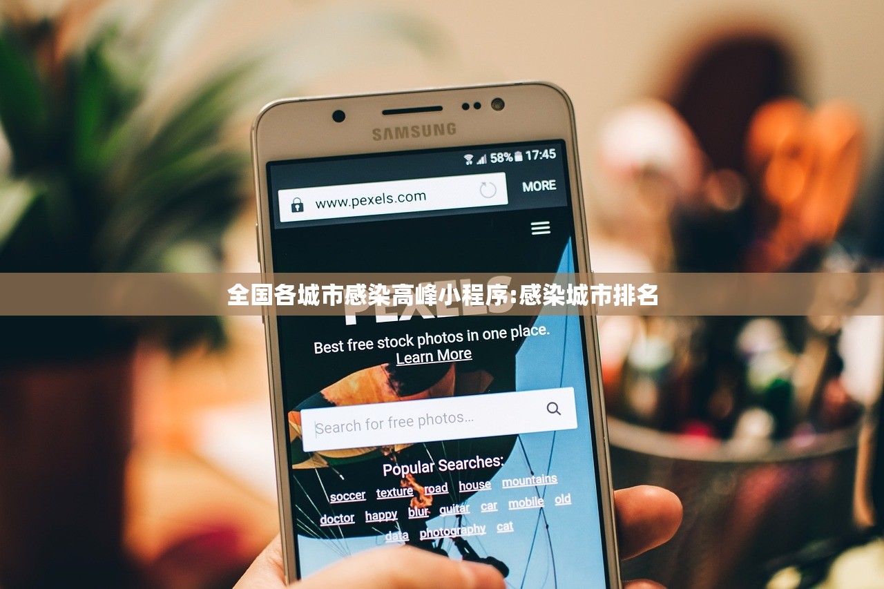 全国各城市感染高峰小程序:感染城市排名