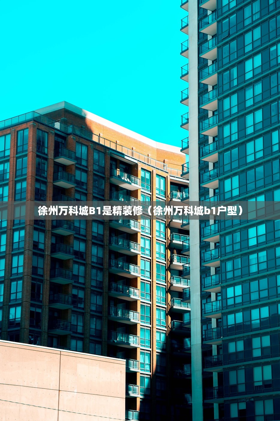 徐州万科城B1是精装修（徐州万科城b1户型）