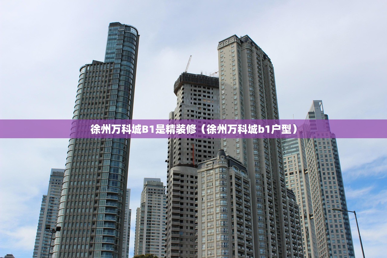 徐州万科城B1是精装修（徐州万科城b1户型）
