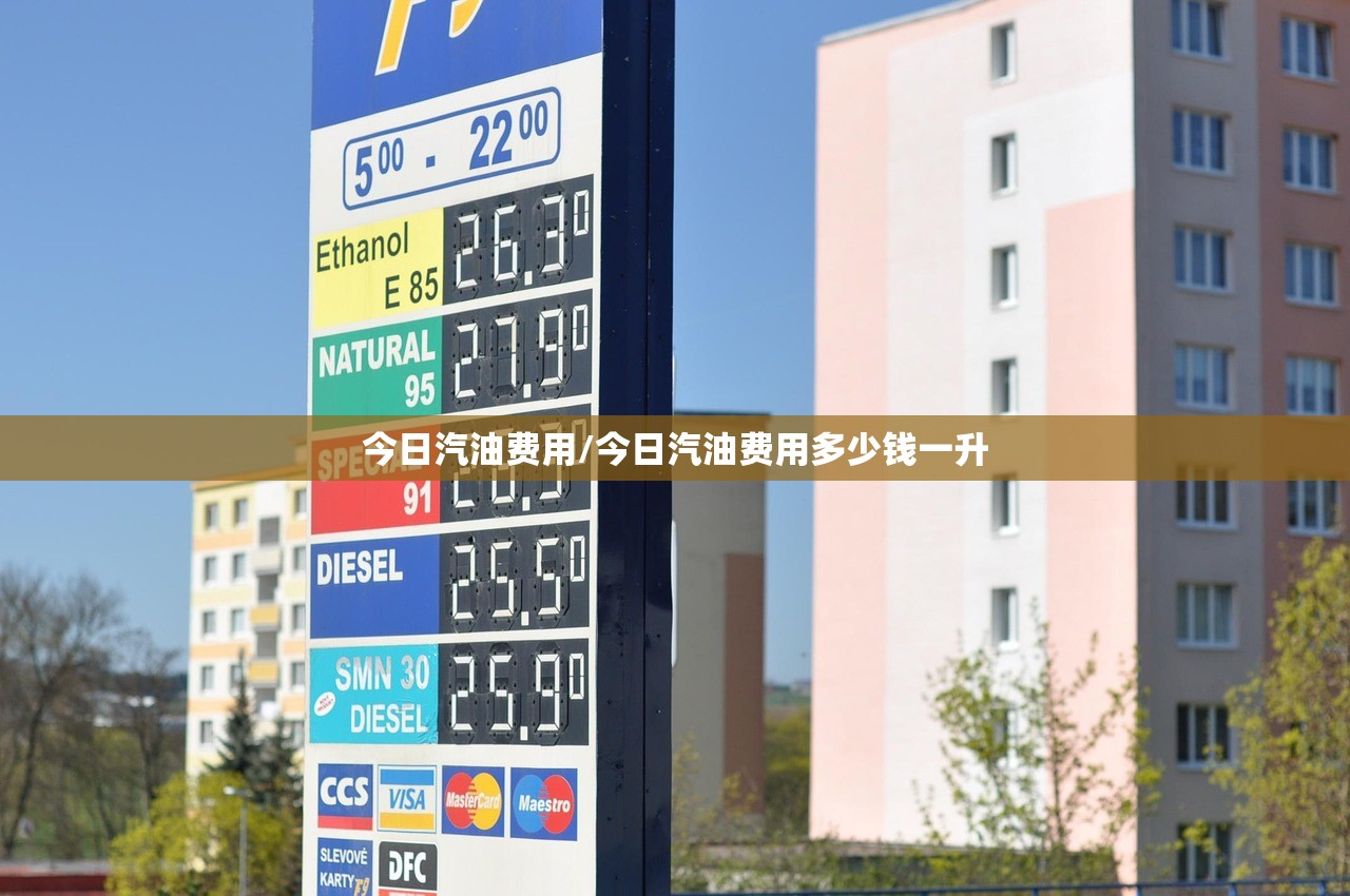 今日汽油费用/今日汽油费用多少钱一升