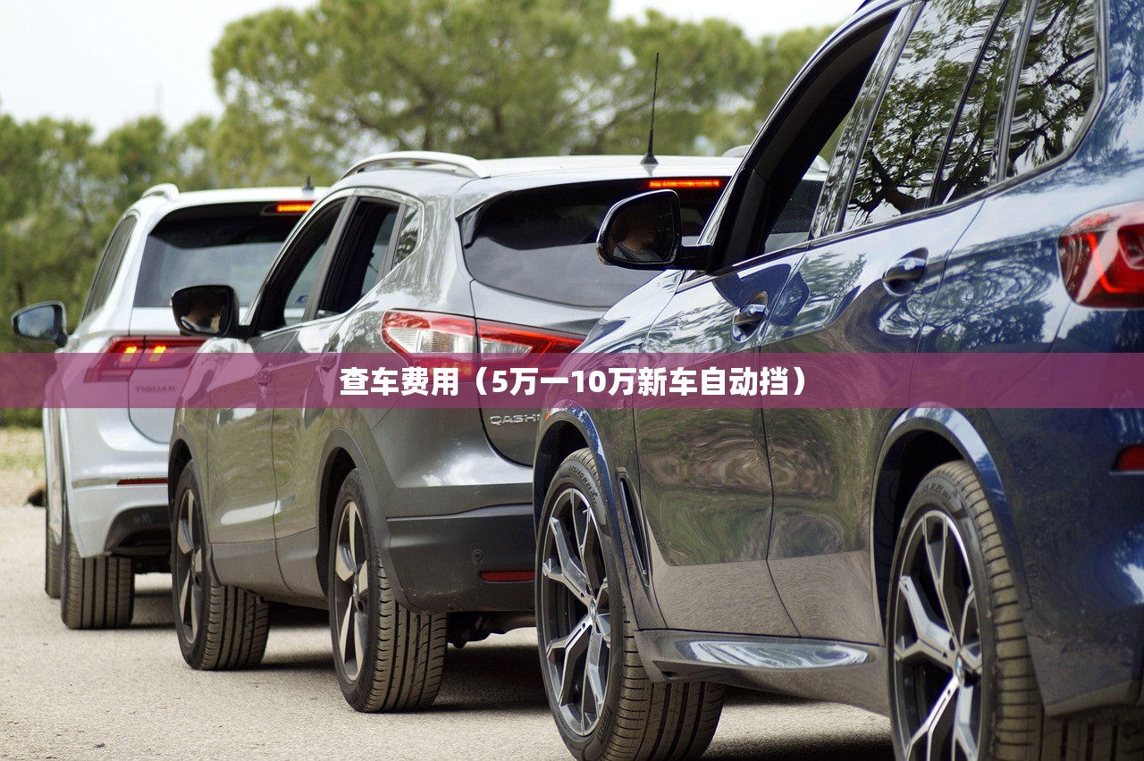 查车费用（5万一10万新车自动挡）