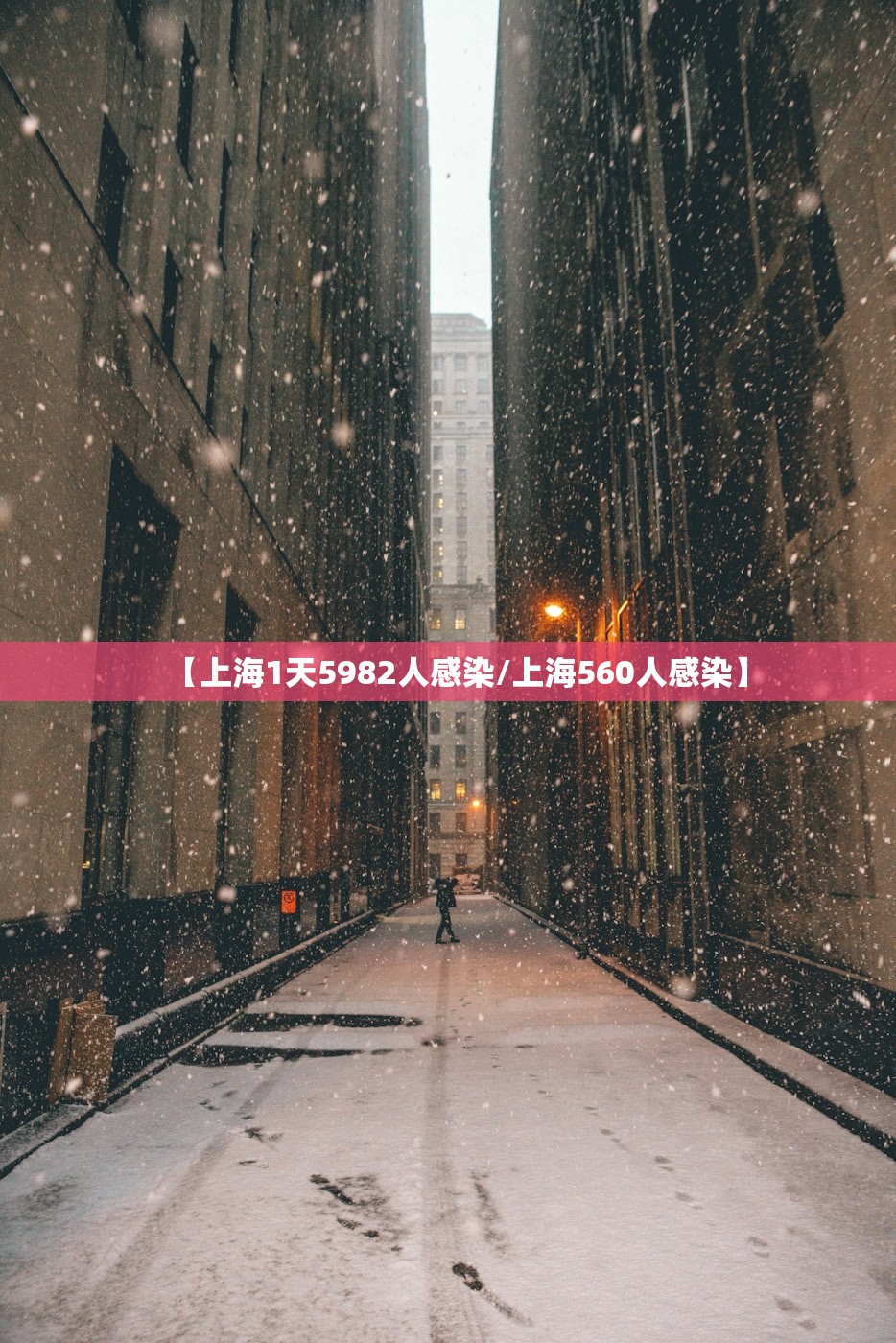【上海1天5982人感染/上海560人感染】