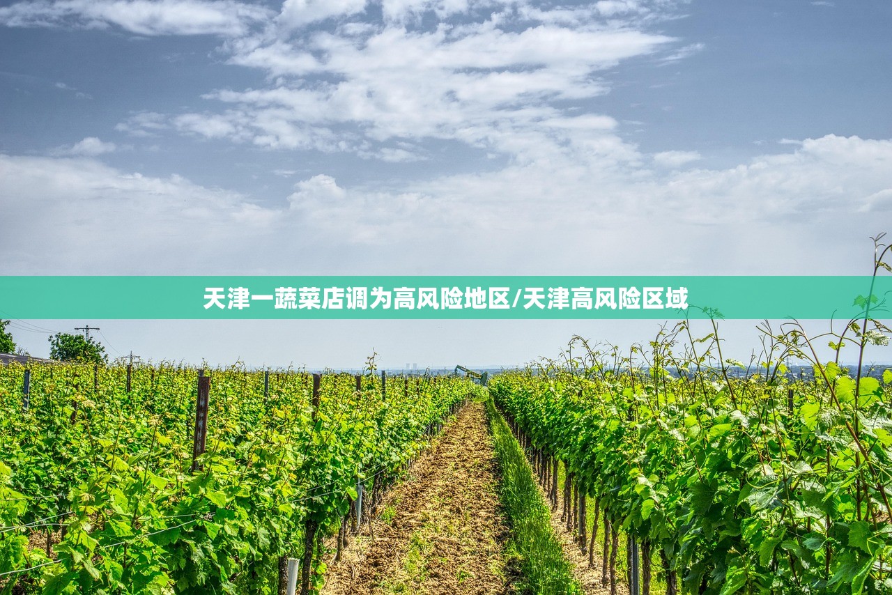 天津一蔬菜店调为高风险地区/天津高风险区域