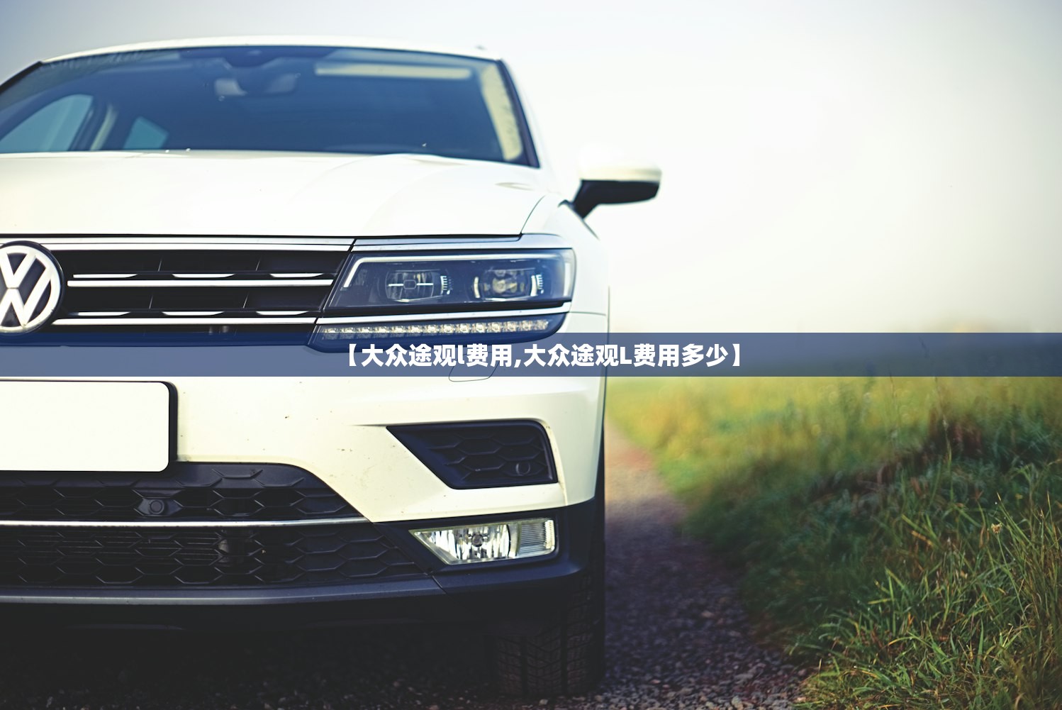 【大众途观l费用,大众途观L费用多少】