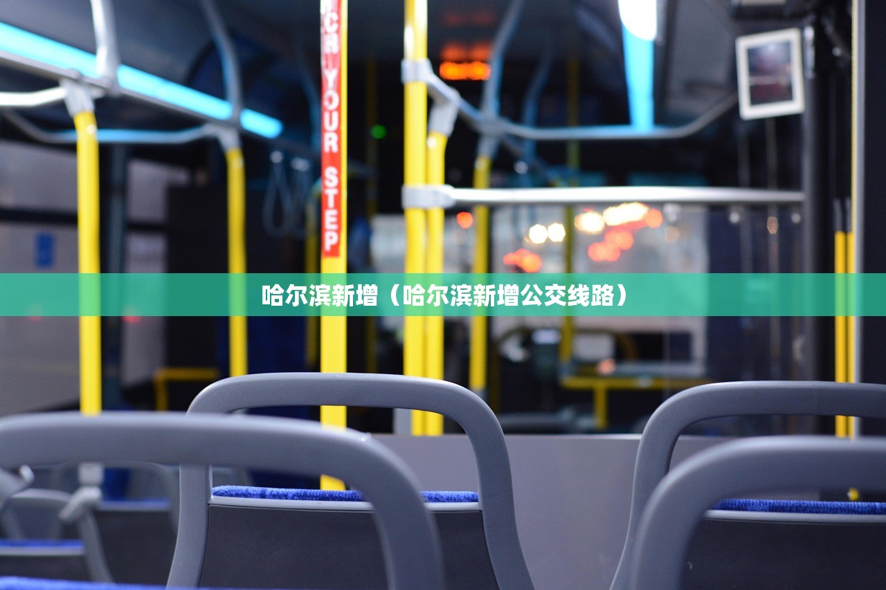 哈尔滨新增（哈尔滨新增公交线路）