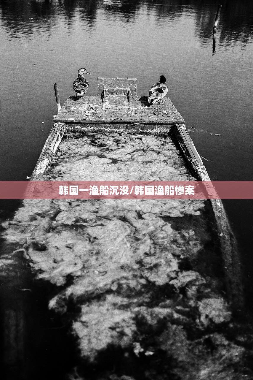 韩国一渔船沉没/韩国渔船惨案