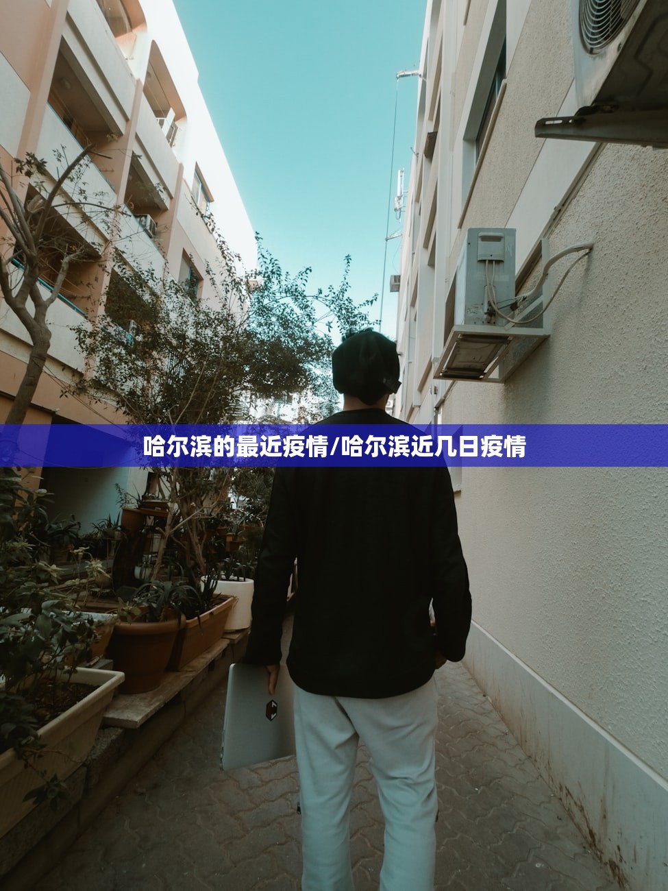 哈尔滨的最近疫情/哈尔滨近几日疫情