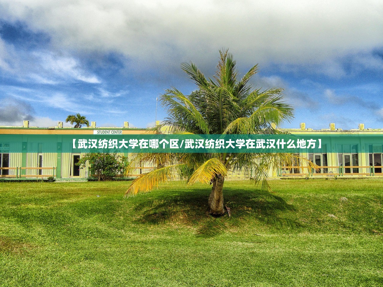 【武汉纺织大学在哪个区/武汉纺织大学在武汉什么地方】