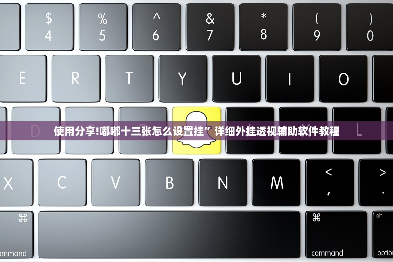 使用分享!嘟嘟十三张怎么设置挂”详细外挂透视辅助软件教程