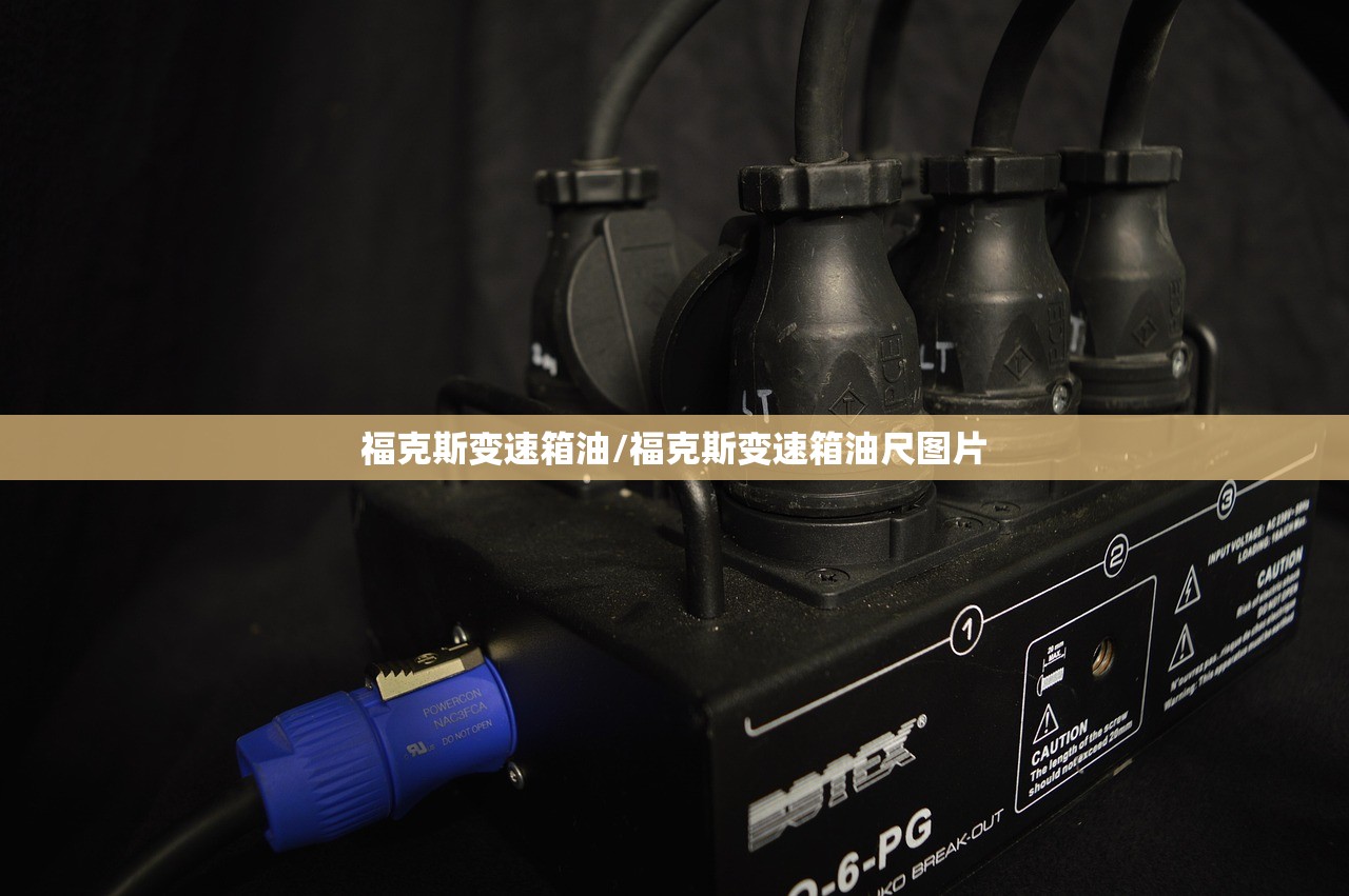 福克斯变速箱油/福克斯变速箱油尺图片