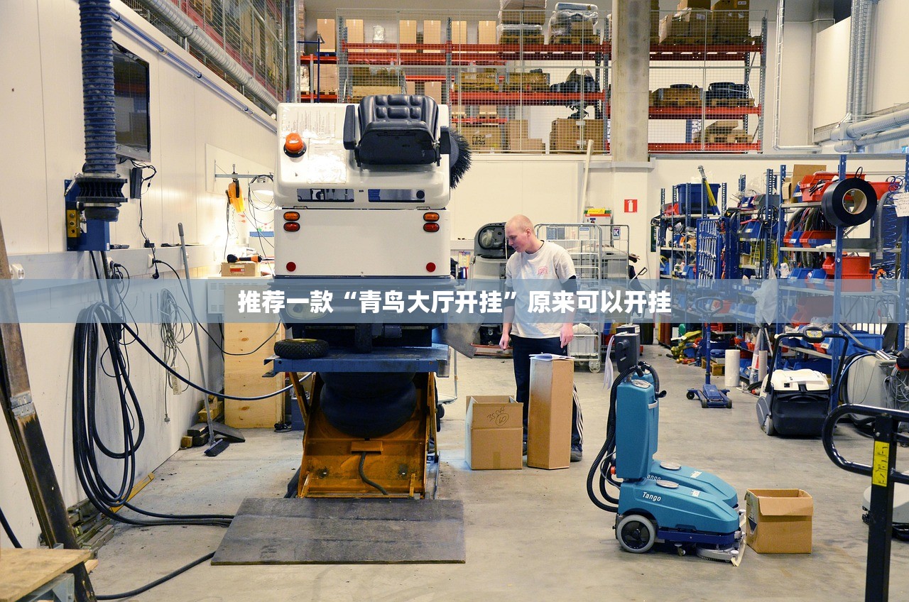 推荐一款“青鸟大厅开挂”原来可以开挂