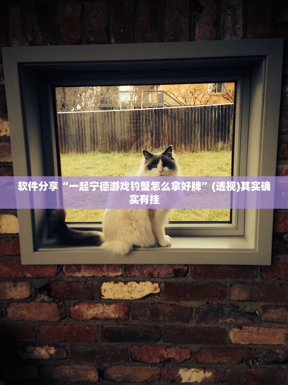软件分享“一起宁德游戏钓蟹怎么拿好牌”(透视)其实确实有挂