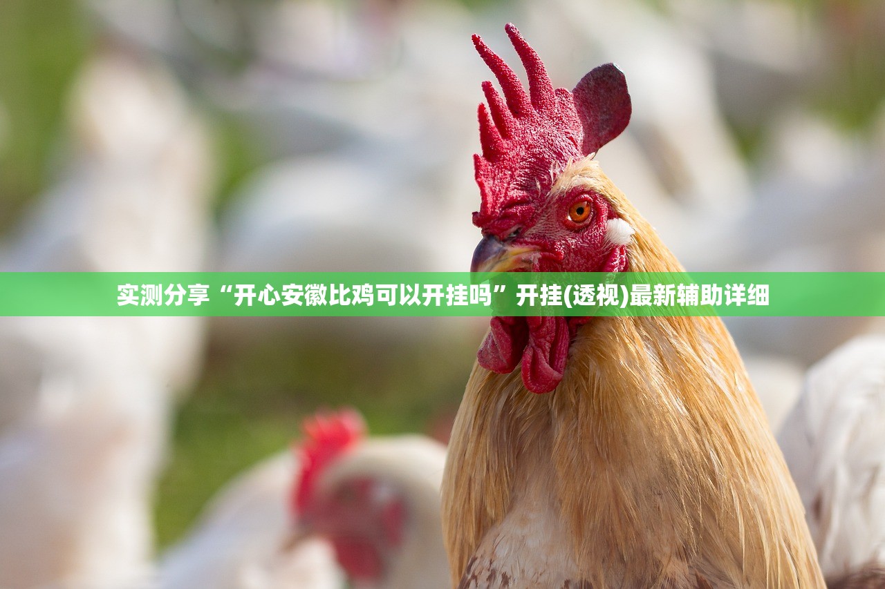 实测分享“开心安徽比鸡可以开挂吗”开挂(透视)最新辅助详细