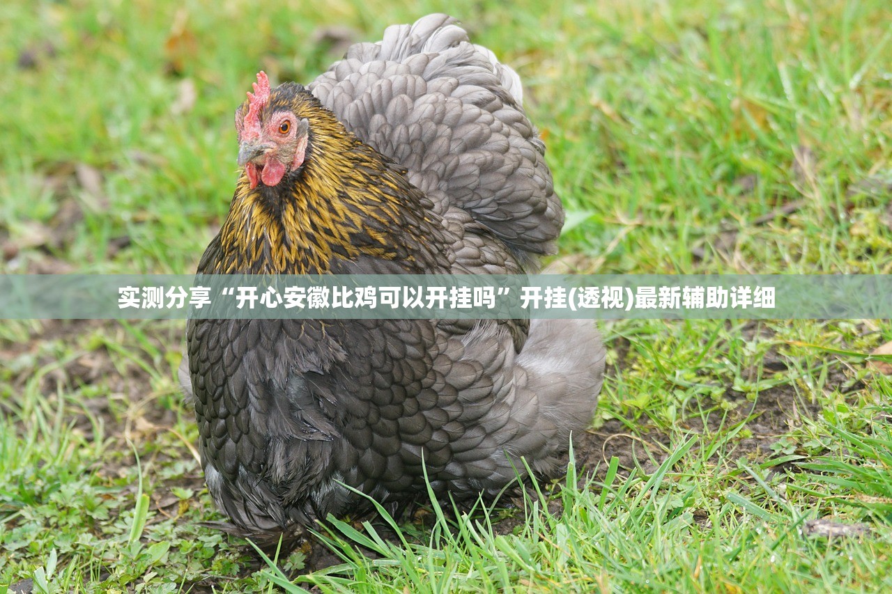 实测分享“开心安徽比鸡可以开挂吗”开挂(透视)最新辅助详细