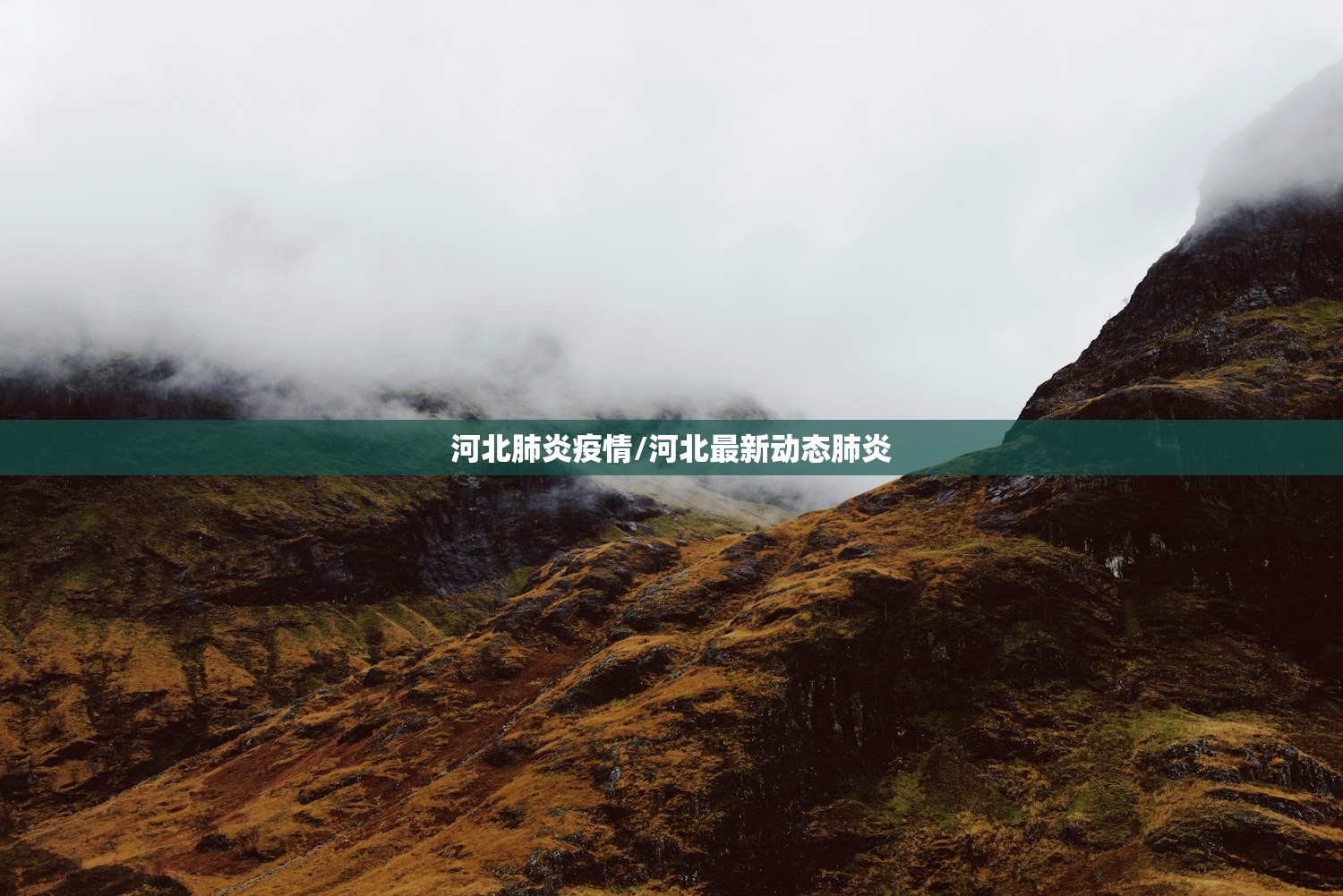 河北肺炎疫情/河北最新动态肺炎