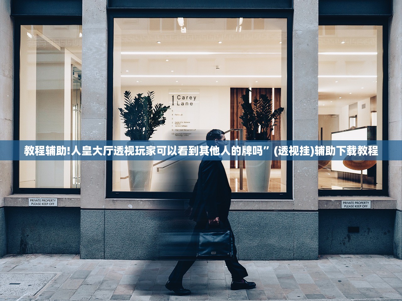 教程辅助!人皇大厅透视玩家可以看到其他人的牌吗”(透视挂)辅助下载教程