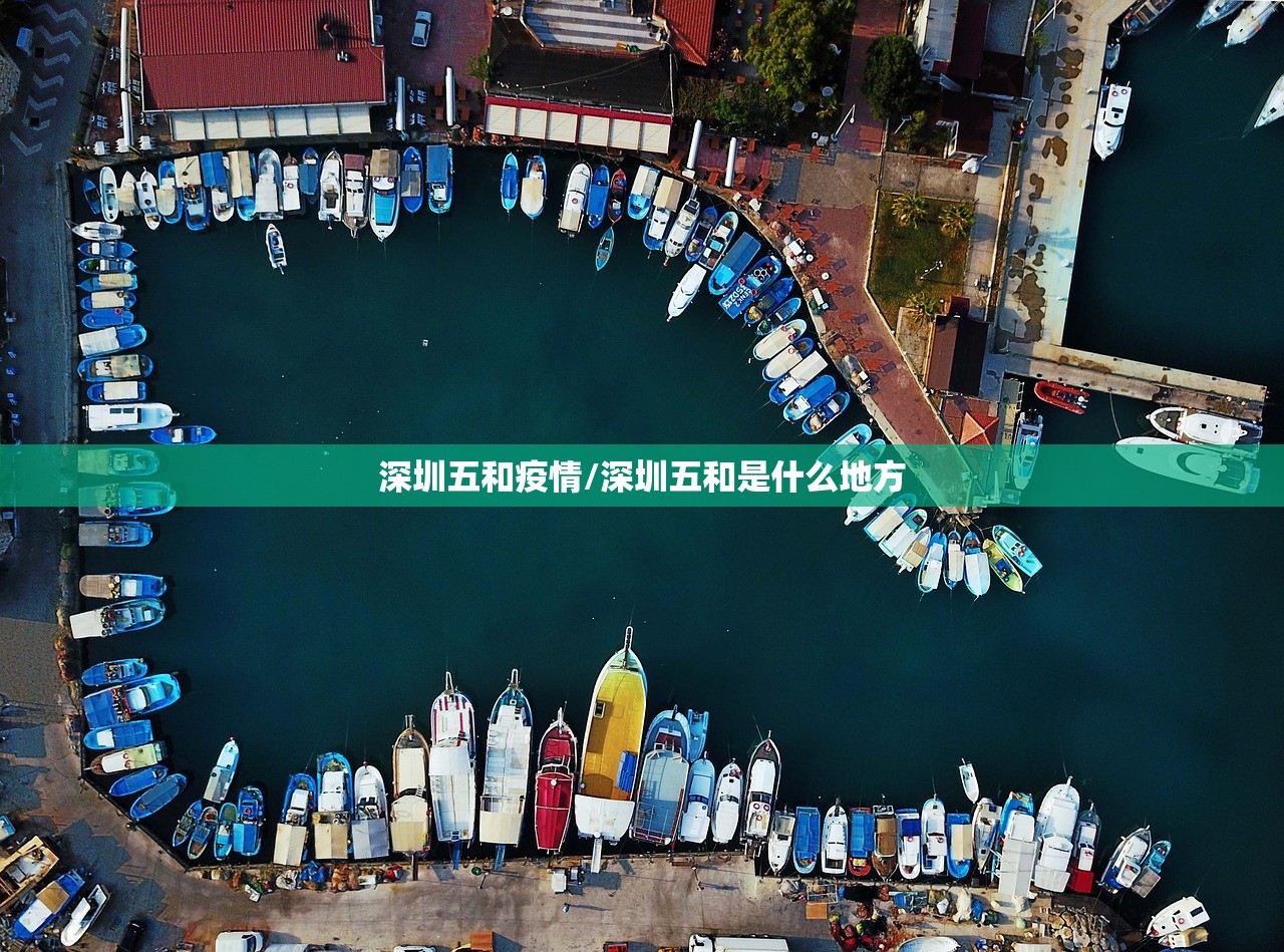 深圳五和疫情/深圳五和是什么地方