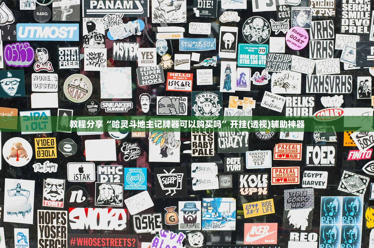 教程分享“哈灵斗地主记牌器可以购买吗”开挂(透视)辅助神器