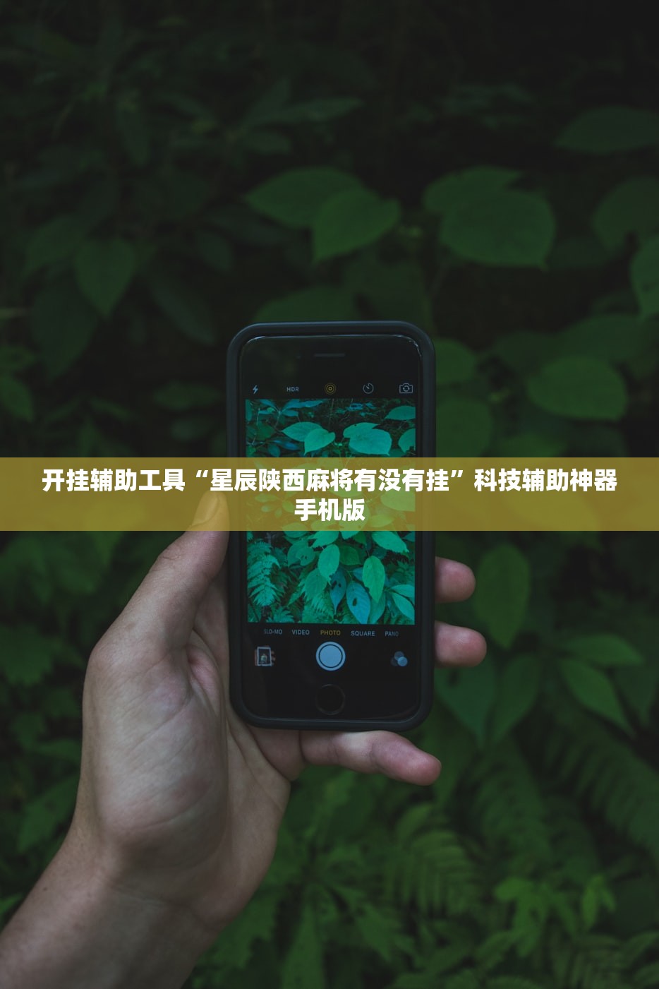 开挂辅助工具“星辰陕西麻将有没有挂”科技辅助神器手机版