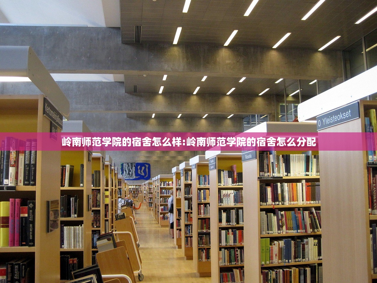 岭南师范学院的宿舍怎么样:岭南师范学院的宿舍怎么分配