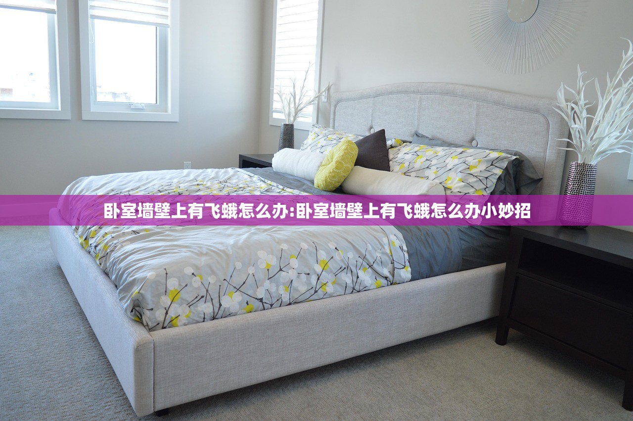 卧室墙壁上有飞蛾怎么办:卧室墙壁上有飞蛾怎么办小妙招