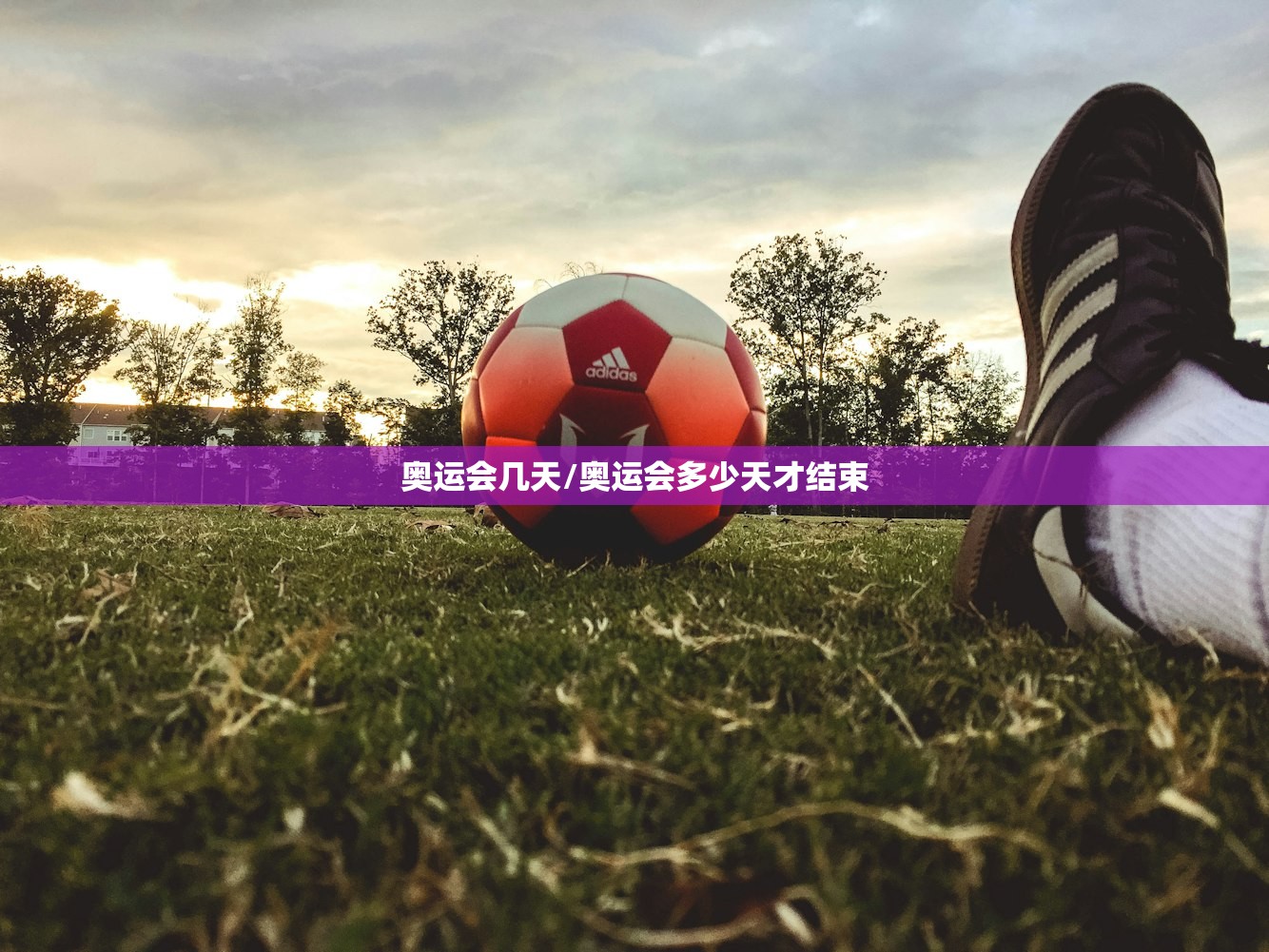 奥运会几天/奥运会多少天才结束