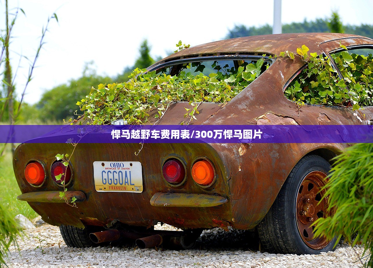 悍马越野车费用表/300万悍马图片