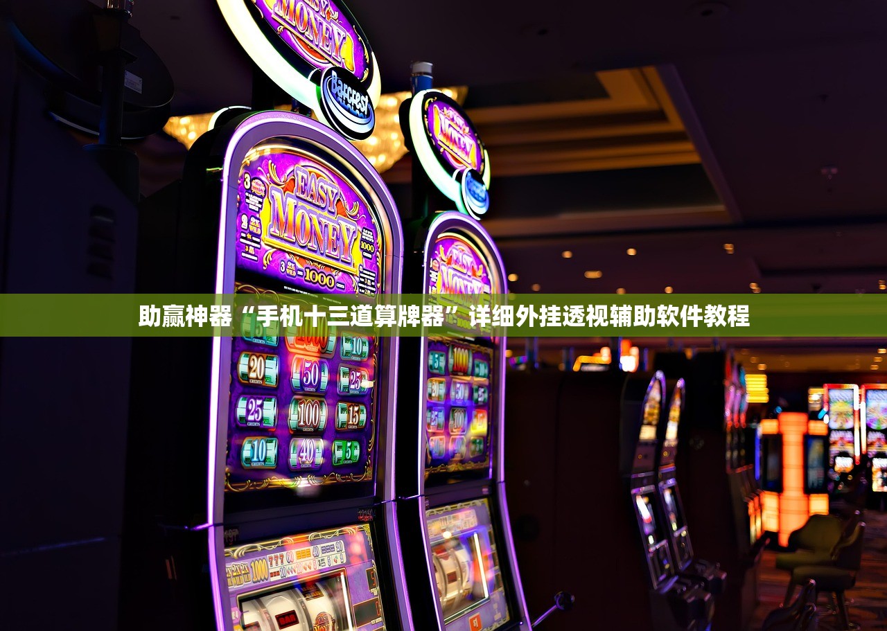 助赢神器“手机十三道算牌器”详细外挂透视辅助软件教程