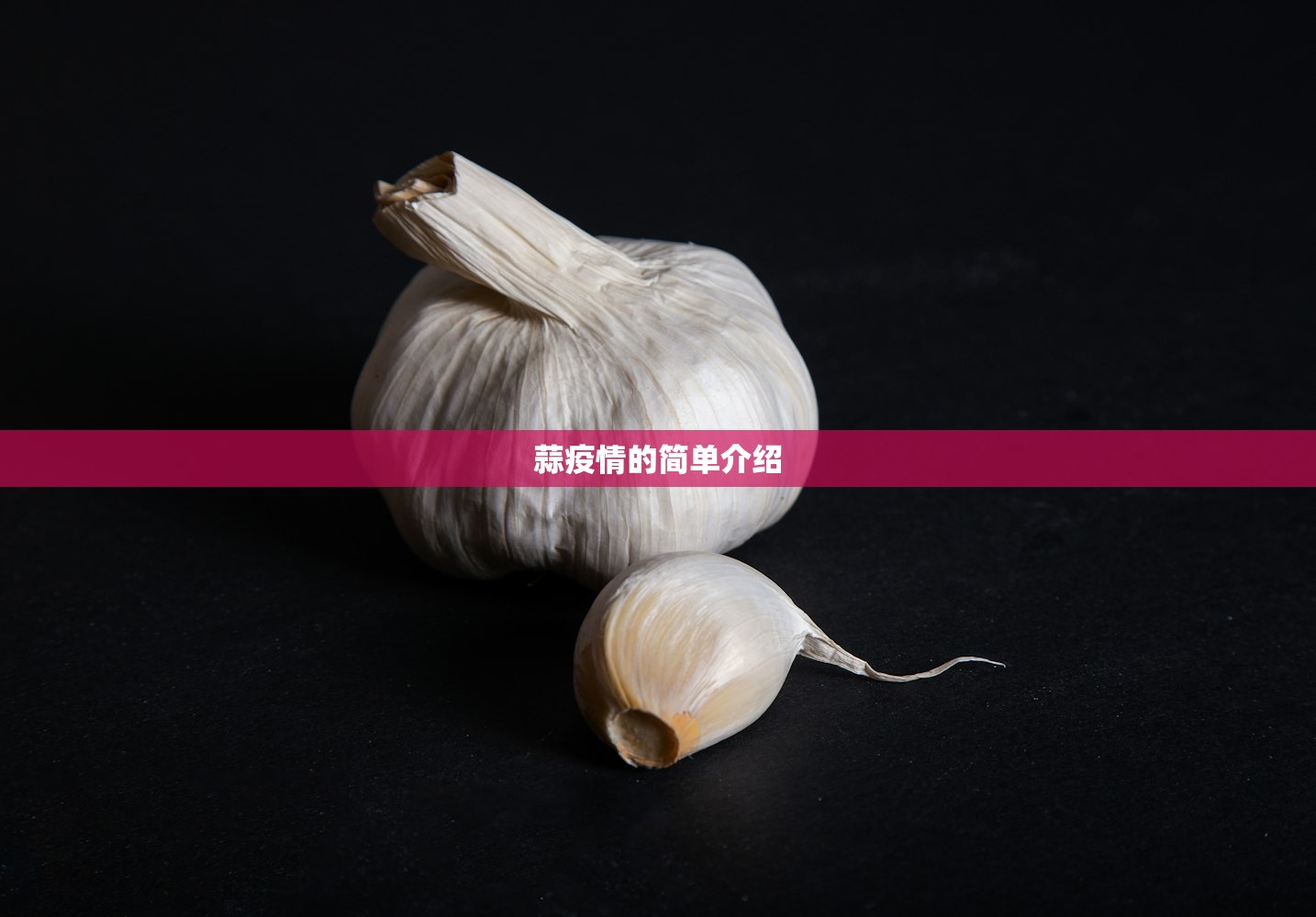 蒜疫情的简单介绍