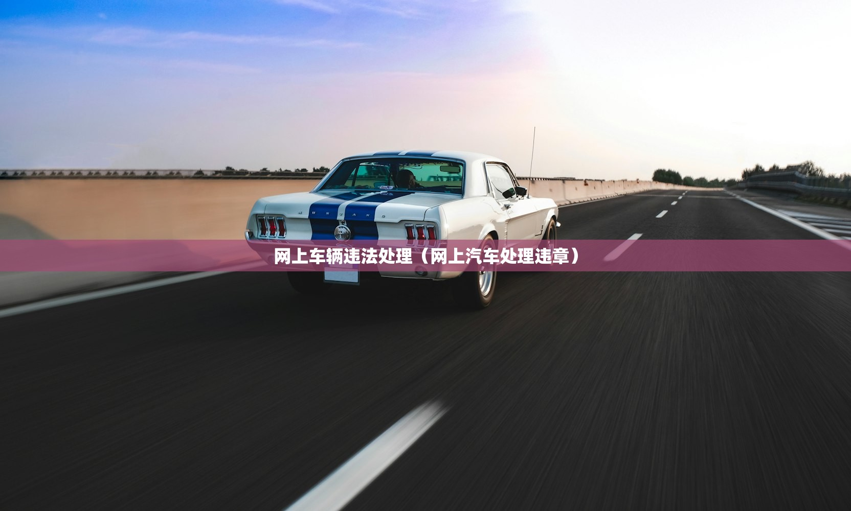 网上车辆违法处理（网上汽车处理违章）