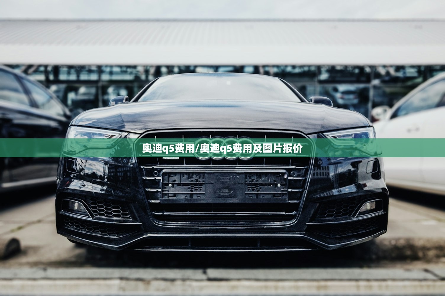 奥迪q5费用/奥迪q5费用及图片报价