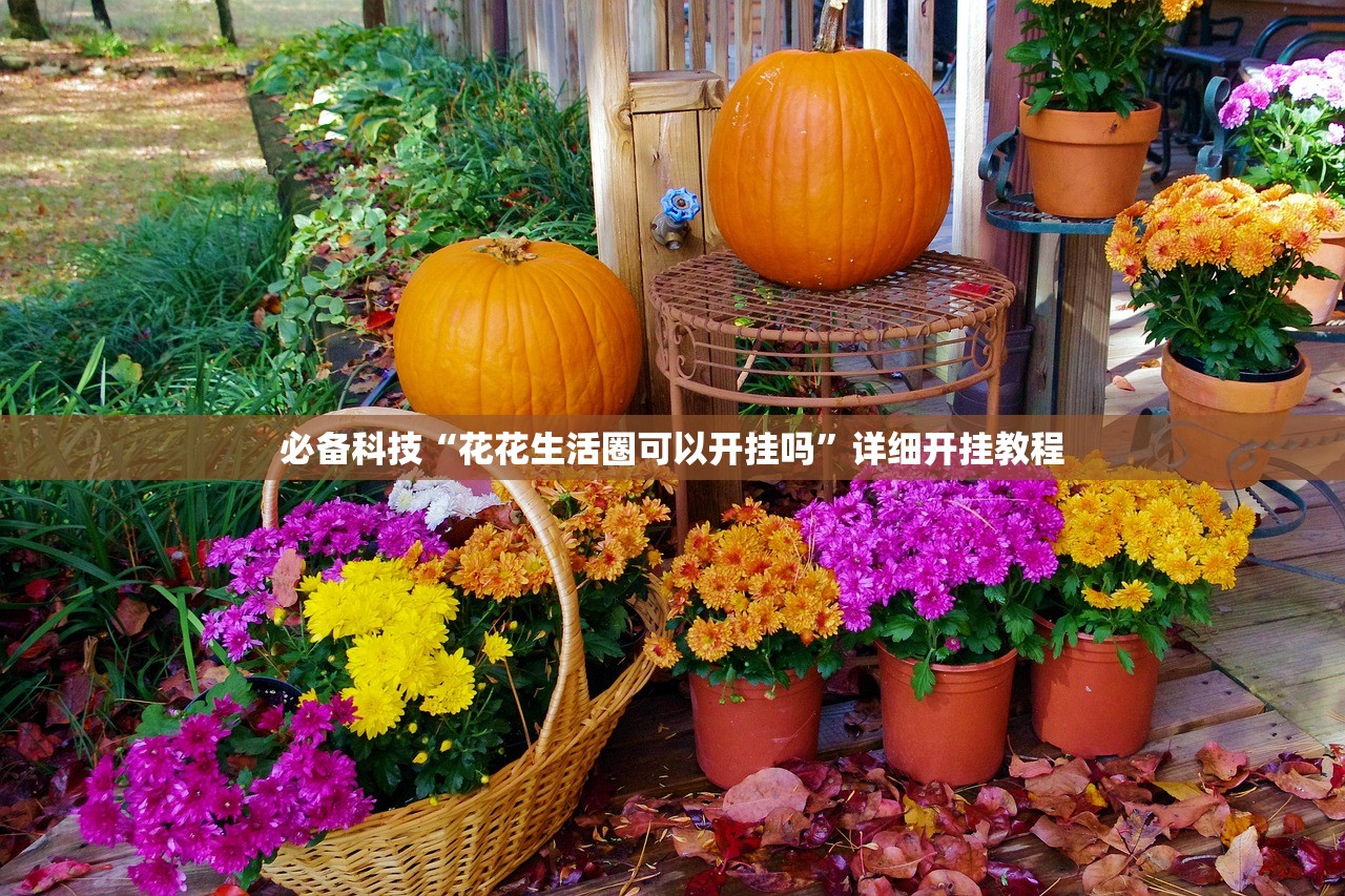 必备科技“花花生活圈可以开挂吗	”详细开挂教程