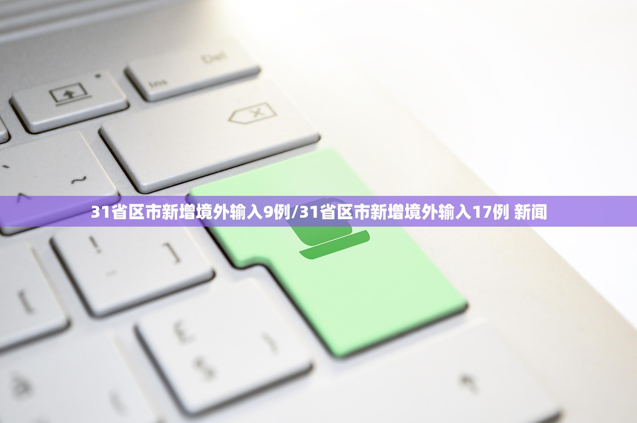 31省区市新增境外输入9例/31省区市新增境外输入17例 新闻