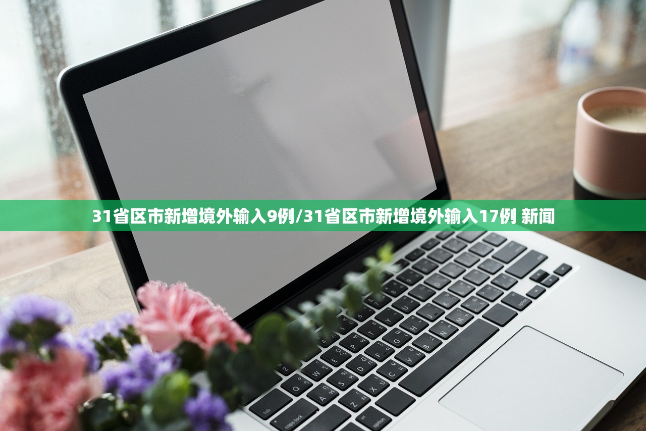 31省区市新增境外输入9例/31省区市新增境外输入17例 新闻