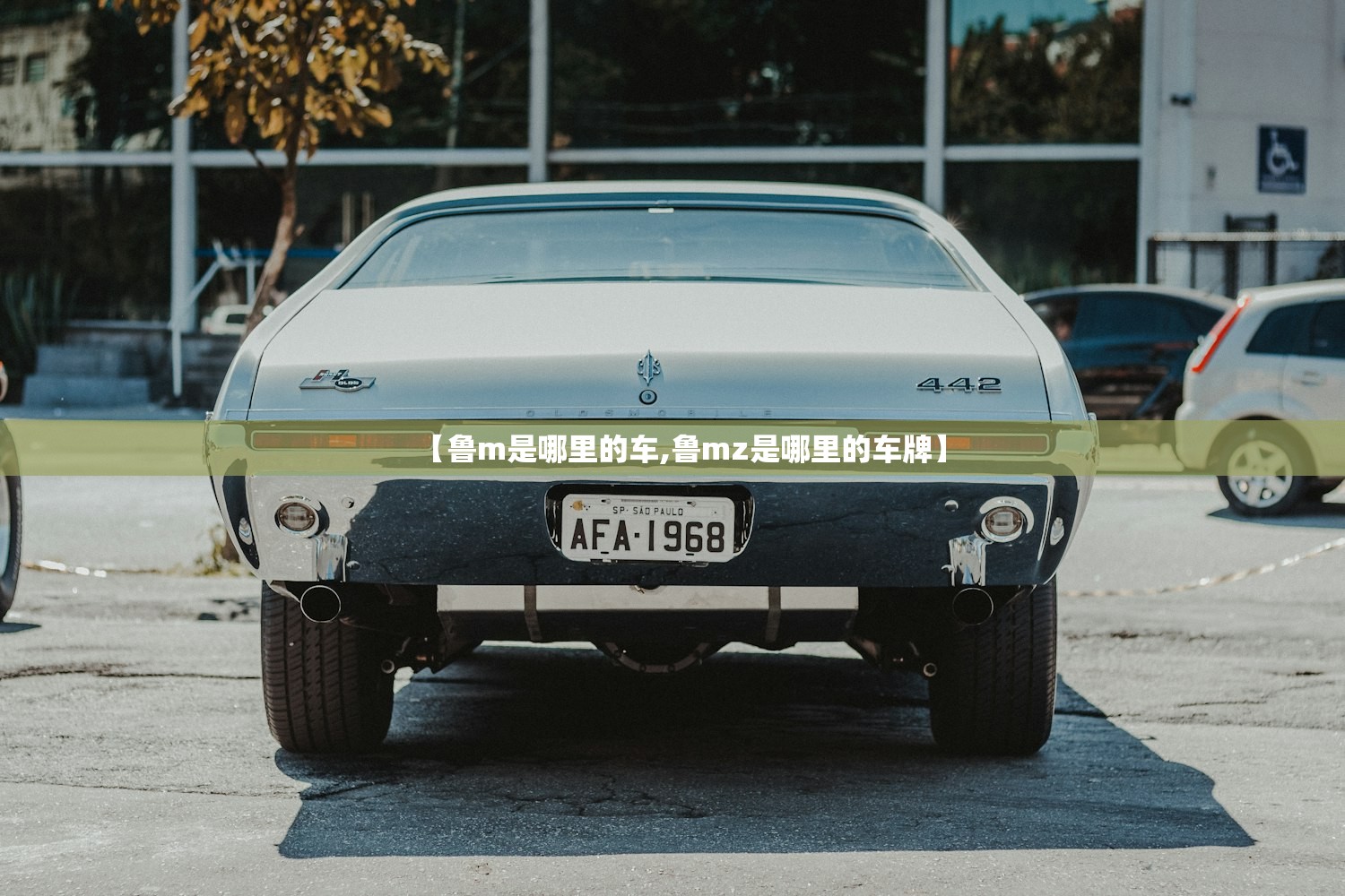 【鲁m是哪里的车,鲁mz是哪里的车牌】