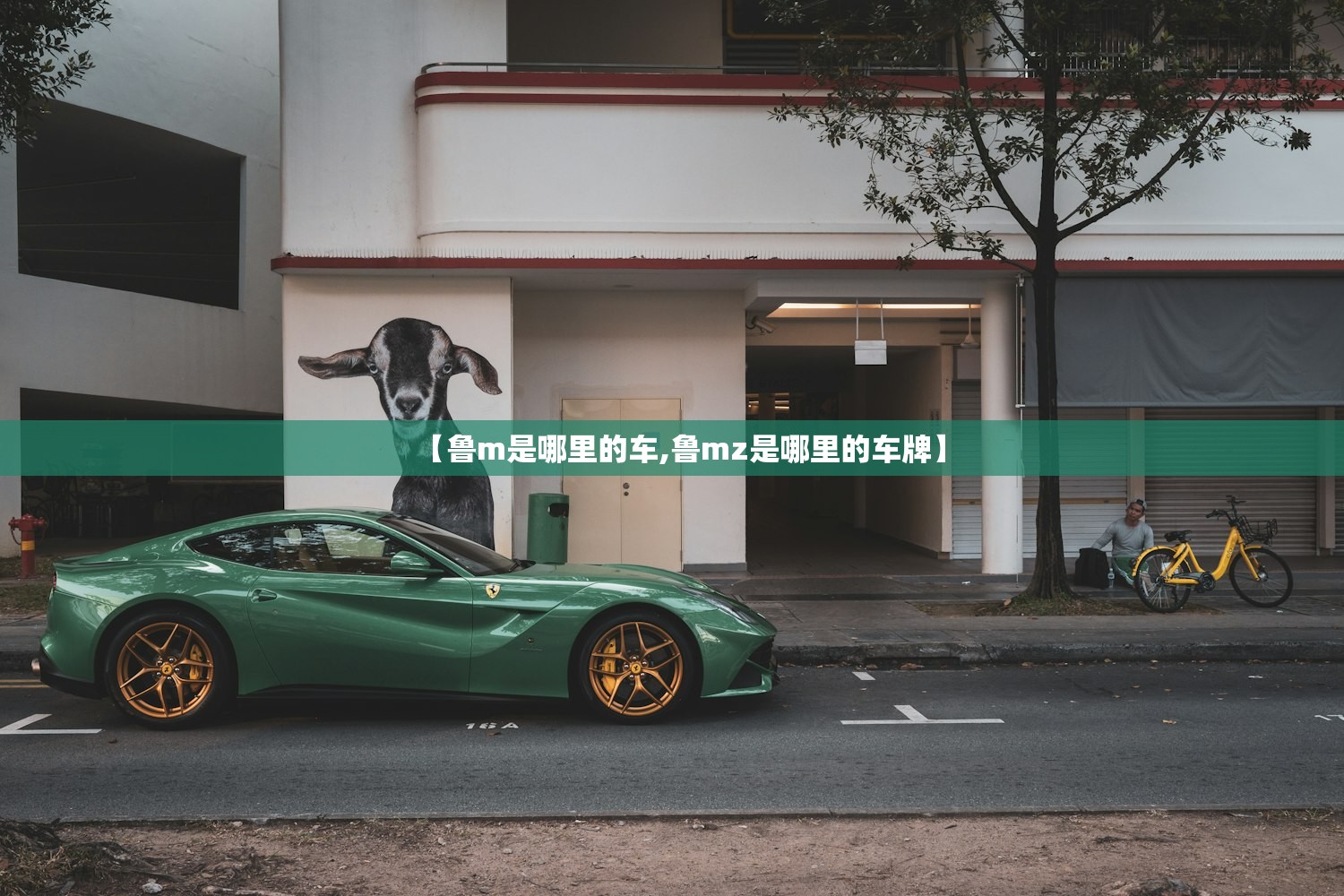 【鲁m是哪里的车,鲁mz是哪里的车牌】