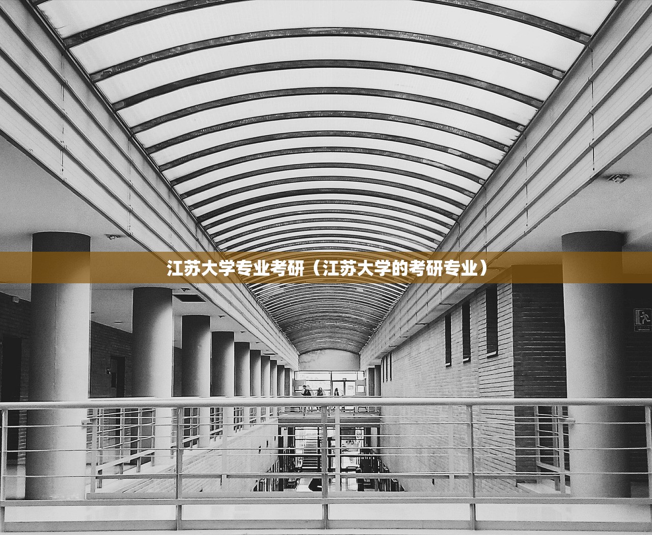 江苏大学专业考研（江苏大学的考研专业）