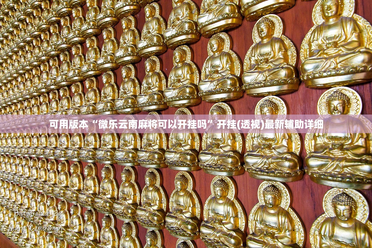 可用版本“微乐云南麻将可以开挂吗”开挂(透视)最新辅助详细