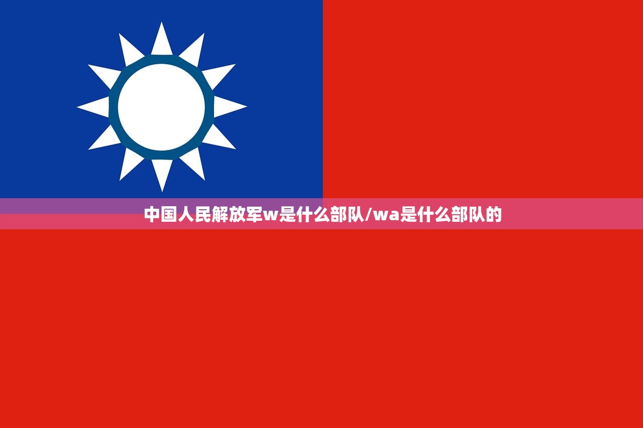 中国人民解放军w是什么部队/wa是什么部队的