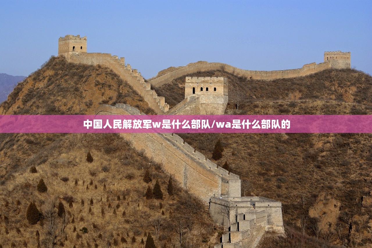 中国人民解放军w是什么部队/wa是什么部队的