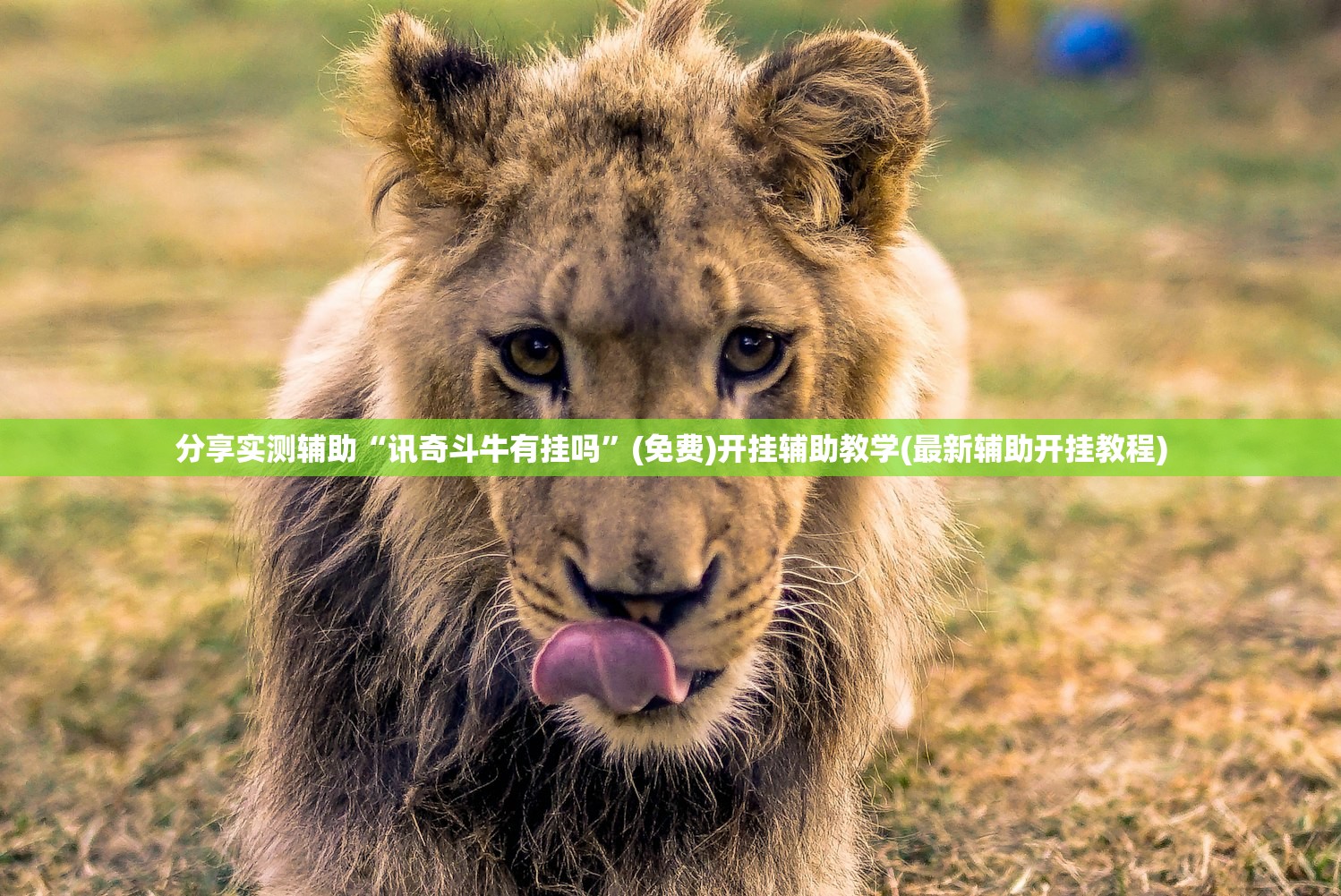 分享实测辅助“讯奇斗牛有挂吗	”(免费)开挂辅助教学(最新辅助开挂教程)